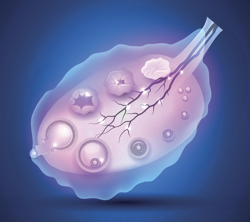 日本拉拉伴侣做试管婴儿一次花费大约多少？